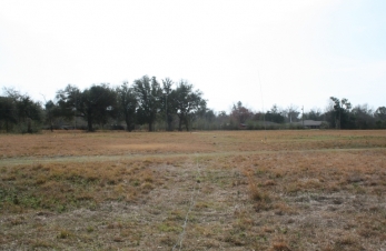 Ground Radials